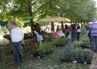 Mostra-mercato Vanzo Floreale 2010